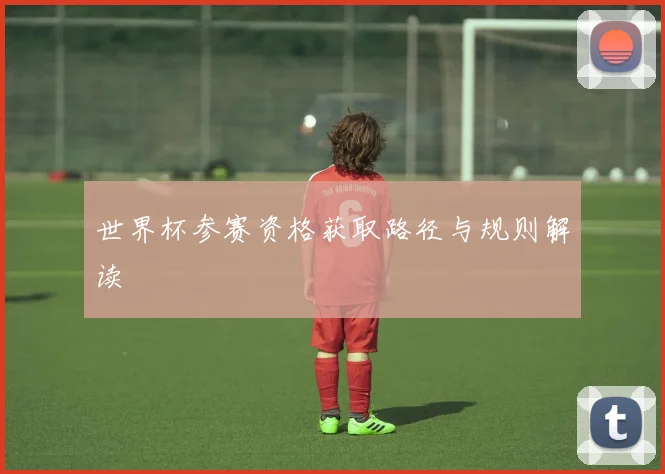 世界杯参赛资格获取路径与规则解读